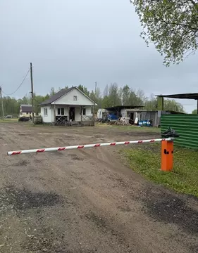 Участок в Ленинградская область, Ломоносовский район, Лопухинское ...