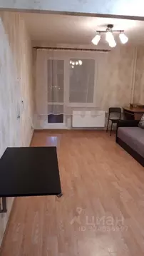 Студия Санкт-Петербург пос. Парголово, Заречная ул., 19к1 (27.3 м)