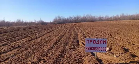 Участок в Новгородская область, Новгородский район, Ракомское с/пос, ...