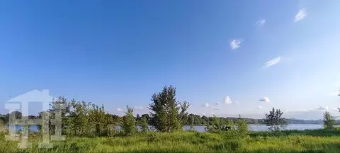 Участок, 47 сот., поселения (ижс)