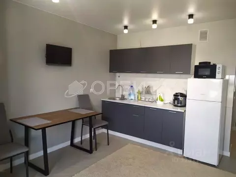 Студия Тюменская область, Тюмень ул. Виктора Тимофеева, 9 (25.4 м)