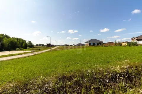 Участок в Тюменская область, Тюменский муниципальный округ, Онегин кп ...