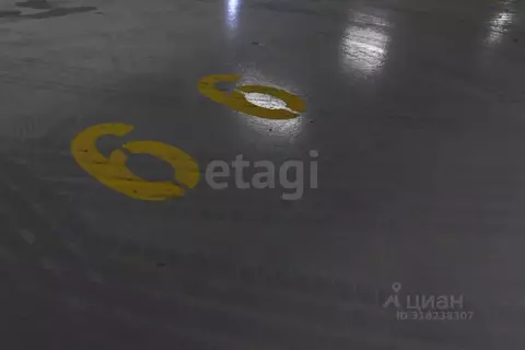 Гараж в Ленинградская область, Мурино Всеволожский район, просп. ...