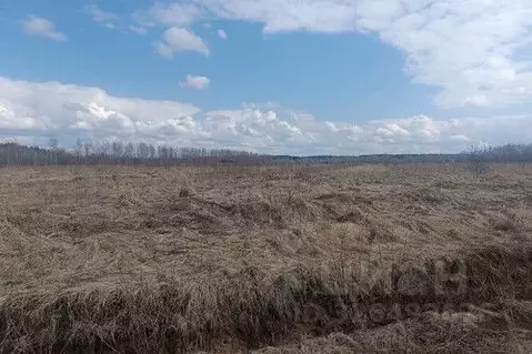Участок в Новгородская область, Новгородский район, Савинское с/пос, ...