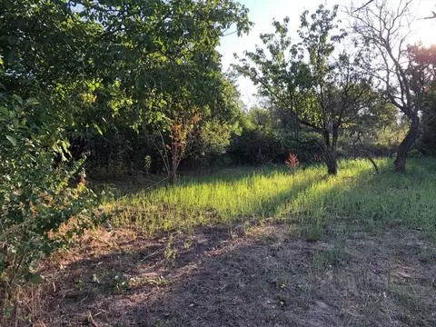 Участок в Краснодарский край, Темрюкское городское поселение, пос. ...