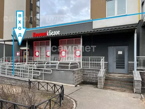 Торговая площадь в Санкт-Петербург просп. Васнецовский, 18 (230 м)