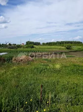 Участок в Тюменская область, Нижнетавдинский муниципальный округ, ...