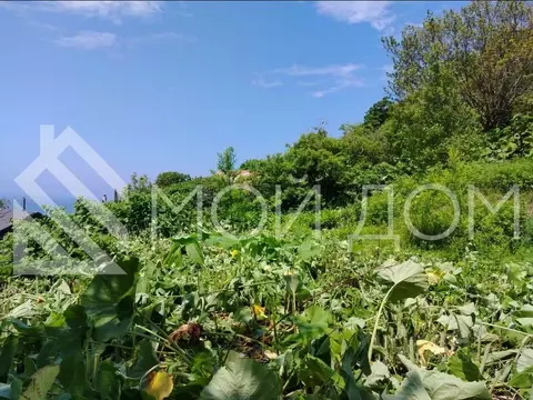 Участок в Сахалинская область, Невельск Нагорная ул. (6.2 сот.)