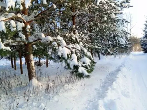 Участок в Московская область, Чехов  (10.0 сот.)
