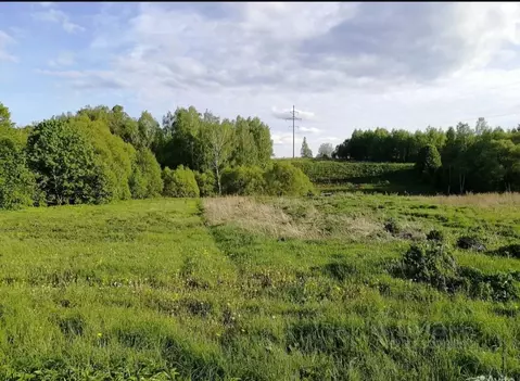 Участок в Владимирская область, Владимир с. Спасское,  (14.0 сот.)