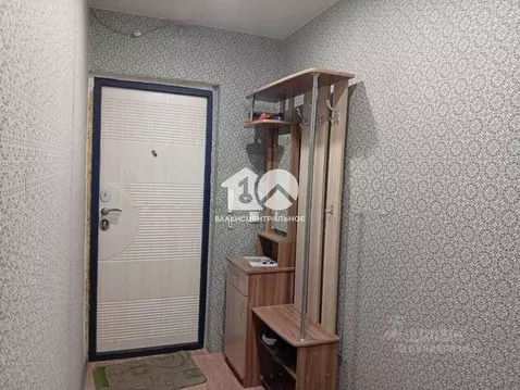 Студия Новосибирская область, Новосибирск ул. Забалуева, 90 (35.0 м)