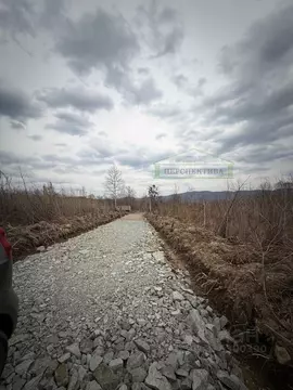 Участок в Приморский край, Надеждинский район, пос. Соловей-Ключ ул. ...