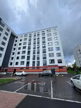 Студия Ленинградская область, Всеволожский район, Романовское с/пос, ...