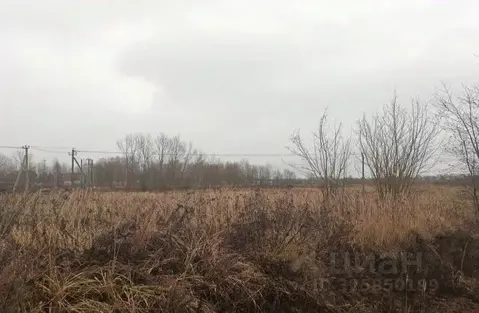 Участок в Московская область, Дмитровский муниципальный округ, с. ...