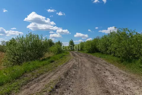 Участок в Тюменская область, Тюменский муниципальный округ, с. Борки  ...