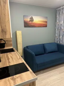 1-к кв. Москва Жигулевская ул., 4К2 (16.0 м)