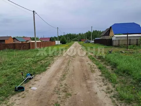 Участок в Новосибирская область, Коченевский район, Тальник СНТ  (10.5 ...