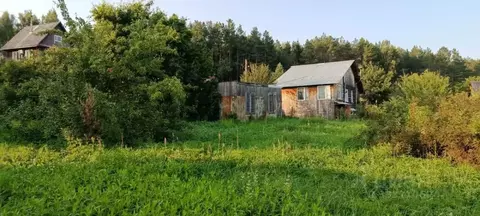 Участок в Пермский край, Пермь Оазис садоводческое товарищество,  ...