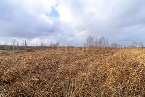 Участок в Тюменская область, Тюмень Большое Царево-1 СНТ,  (9.8 сот.)