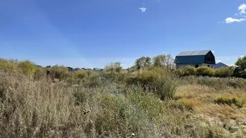 Участок в Амурская область, Благовещенск ул. Хвойная (8.2 сот.)