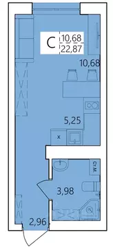 Студия Башкортостан, Уфа ул. Пожарского, 237 (22.87 м)