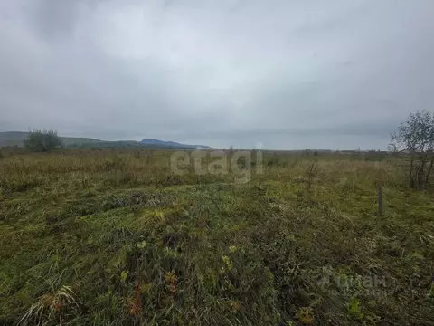 Участок в Алтайский край, Советский район, с. Платово ул. Мира (12.0 ...