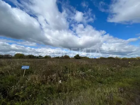 Участок в Тюменская область, Тюменский район, д. Якуши пер. Мичурина ...