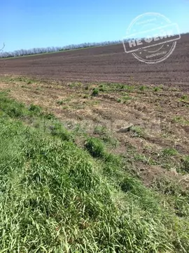 Участок в Ростовская область, Мясниковский район, Петровка сл. Степная ...