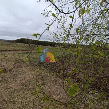 Участок в Тульская область, Тула городской округ, д. Погромное  (10.0 ...