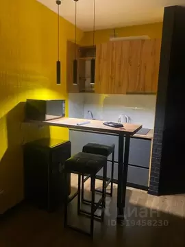 Студия Курганская область, Курган ул. Коли Мяготина, 181 (24.0 м)