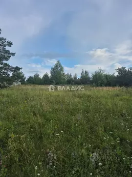 Участок в Воронежская область, Рамонский район, Скляевское с/пос, ...