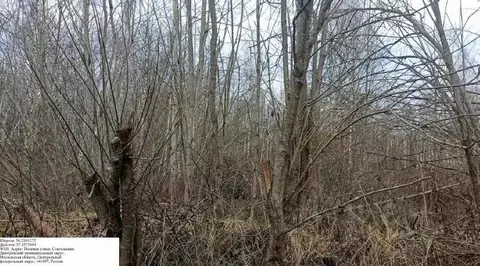 Участок в Московская область, Дмитровский муниципальный округ, д. ...