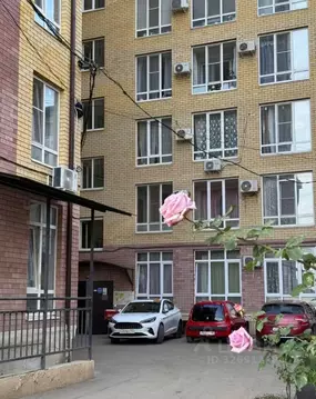 Студия Краснодарский край, Краснодар ул. Митинская, 21 (30.0 м)