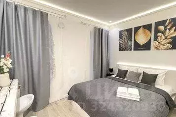 1-к кв. Санкт-Петербург ул. Рубинштейна, 5 (15.0 м)