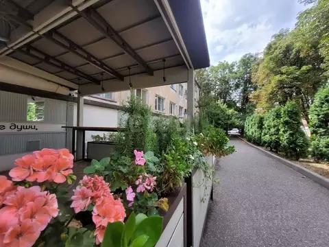 Студия Ставропольский край, Пятигорск Ессентукская ул. (16.0 м)