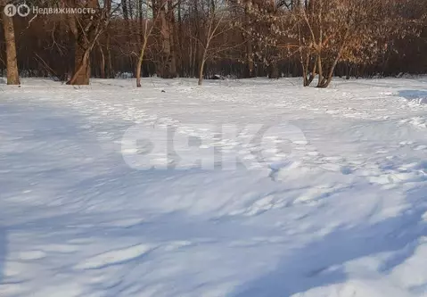 Участок в Московская область, Раменский муниципальный округ, село ...