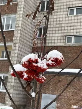 2-к кв. Новосибирская область, Новосибирск Большевистская ул., 48/1 ...