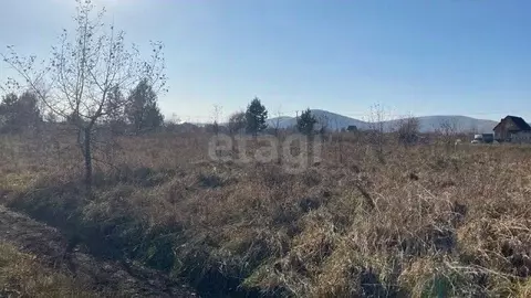 Участок в Алтай, Майминский район, с. Подгорное Центральная ул. (6.0 ...