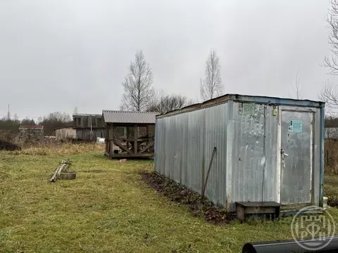 Участок в Ленинградская область, Лужский район, Заклинское с/пос, д. ...