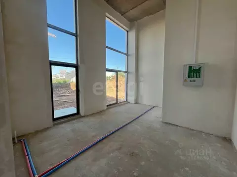 Торговая площадь в Крым, Симферополь Крымская роза мкр, Шалфей жилой ...