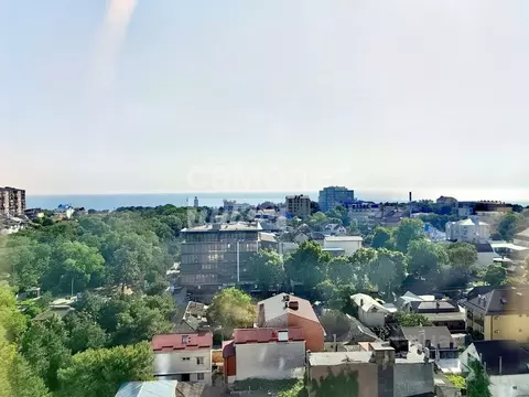 Студия Краснодарский край, Анапа Крепостная ул., 51к2 (32.6 м)