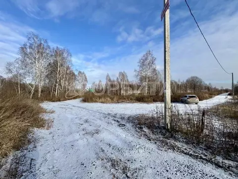 Участок в Тюменская область, Тюмень СОСН Приозерное тер.,  (6.6 сот.)