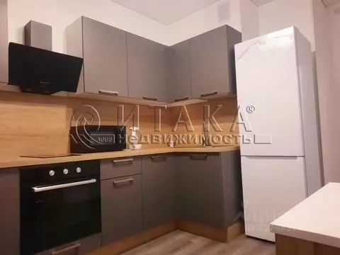 1-к кв. Санкт-Петербург Дальневосточный просп., 19к1 (41.2 м)