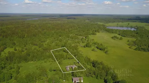 Дом в Тверская область, Торопецкий район, д. Хворостьево  (43 м)