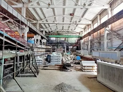 Производственное помещение в Новосибирская область, Новосибирск ул. ...