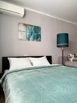 1-к кв. Самарская область, Самара Ново-Садовая ул., 157 (34.0 м)