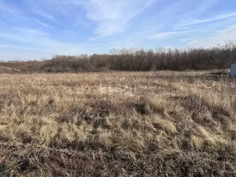 Участок в Белгородская область, Белгород Засечная ул., 38 (15.0 сот.)