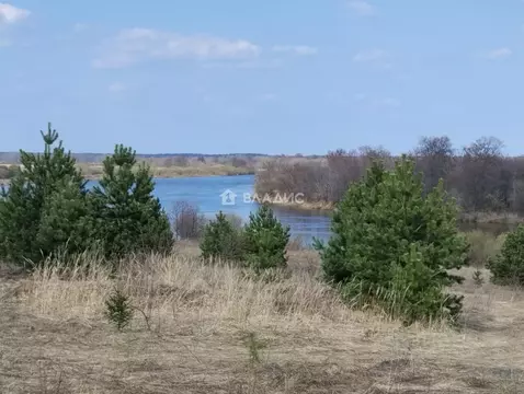 Участок в Владимирская область, Вязниковский район, Мстера ...