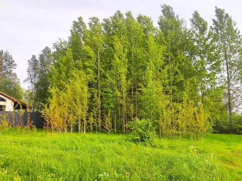 Участок в Ленинградская область, Всеволожский район, Юкковское с/пос, ...