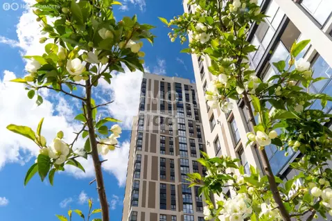 2-комнатная квартира: Екатеринбург, проспект Космонавтов, 108И (73.3 ...